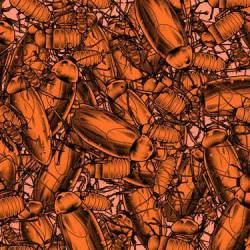 Pulling Teeth (USA) : Pulling Teeth - Shin to Shin